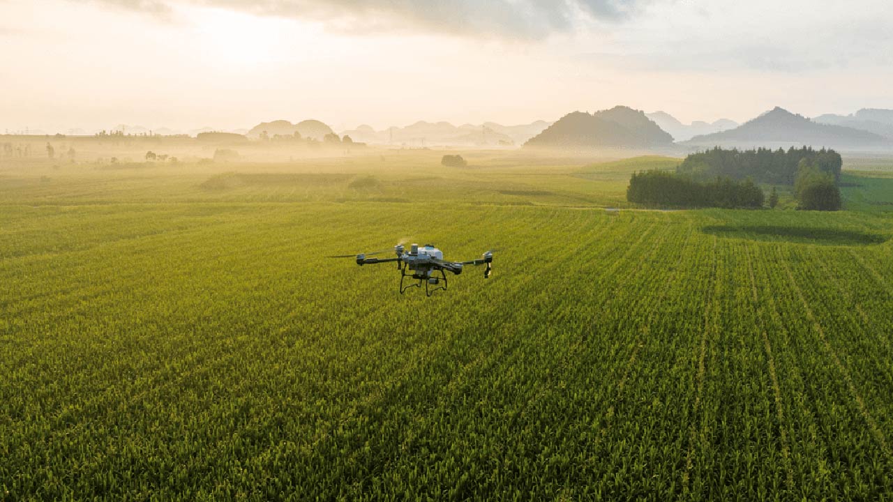 DJI T60